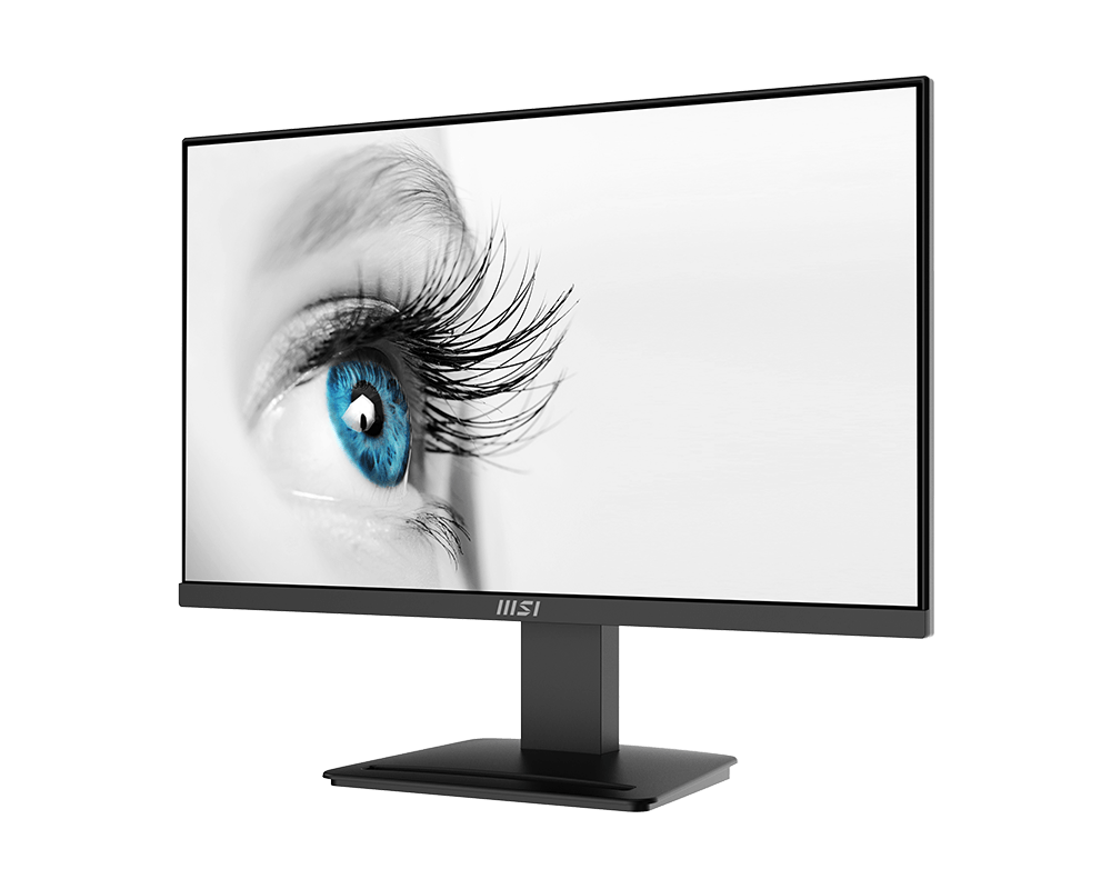 23.8 MSI PRO MP2412 FHD 1MS 100HZ FLAT VA
